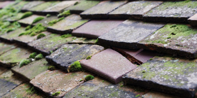 Lower Cadsden roof repair costs
